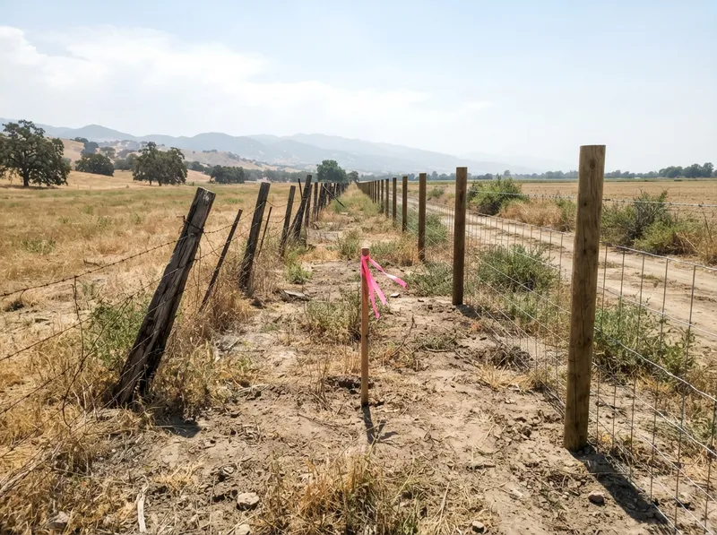 An old leaning barbed-wire fence and a newer wire fence running side by side across a rural property, with a pink-flagged survey stake in the strip between them and foothills beyond